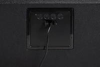 Igloo Texas Kool Tunes Cooler