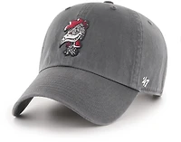 47 Adults' South Carolina Vintage Clean Up Cap