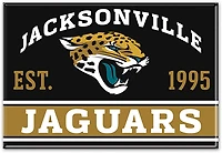 WinCraft Jacksonville Jaguars 2 in x 3 in Primary Fridge Magnet