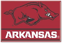 WinCraft University of Arkansas 2 in x 3 in Primary Fridge Magnet