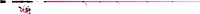 Zebco Roam Spinning Combo