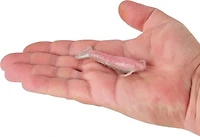Berkley Gulp! Saltwater Shrimp Soft Baits -Pack