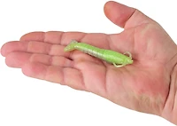 Berkley Gulp! 4 Saltwater Shrimp Soft Baits 4-Pack