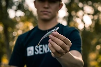 6th Sense Strobe Minnow Unrigged Plastic Swim Bait 5-Pack