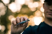 6th Sense Strobe Minnow Unrigged Plastic Swim Bait 5-Pack