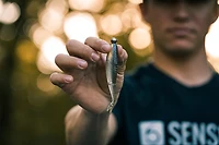 6th Sense 3/8 oz Tungsten Ball Heads 2-Pack