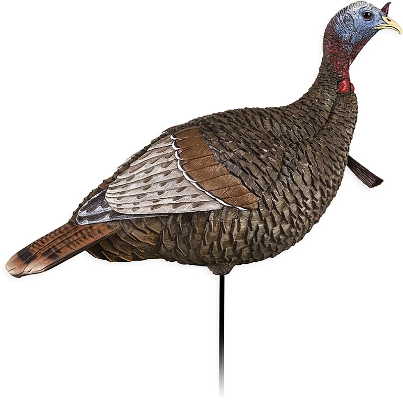 Flextone Thunder Turkey Decoys 3-Pack