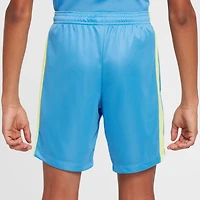 Nike Boys' Trophy Dri-FIT 5 in. Shorts
