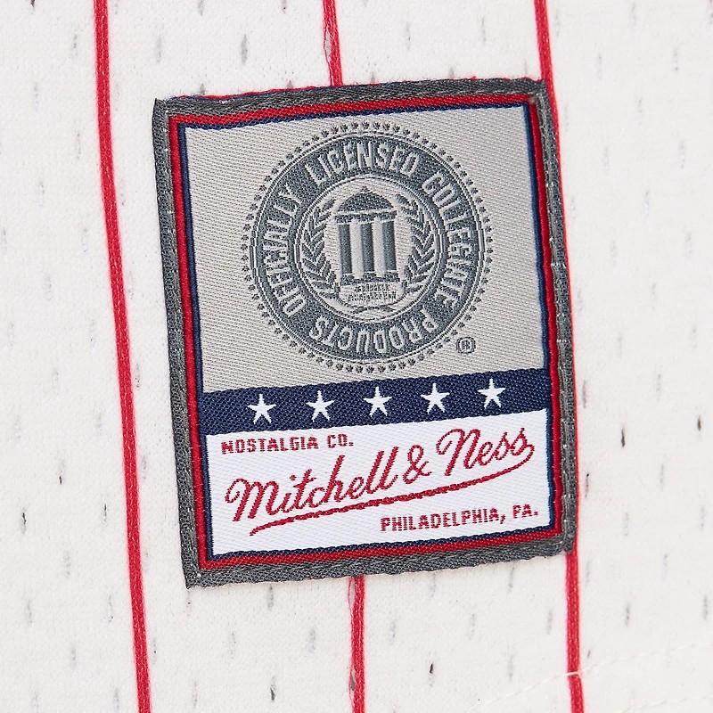 Mitchell & Ness Men's Arkansas Pinstripe Mesh V-neck Jersey