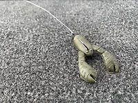 Great Lakes Finesse 2-1/10 Floating Snack Craw