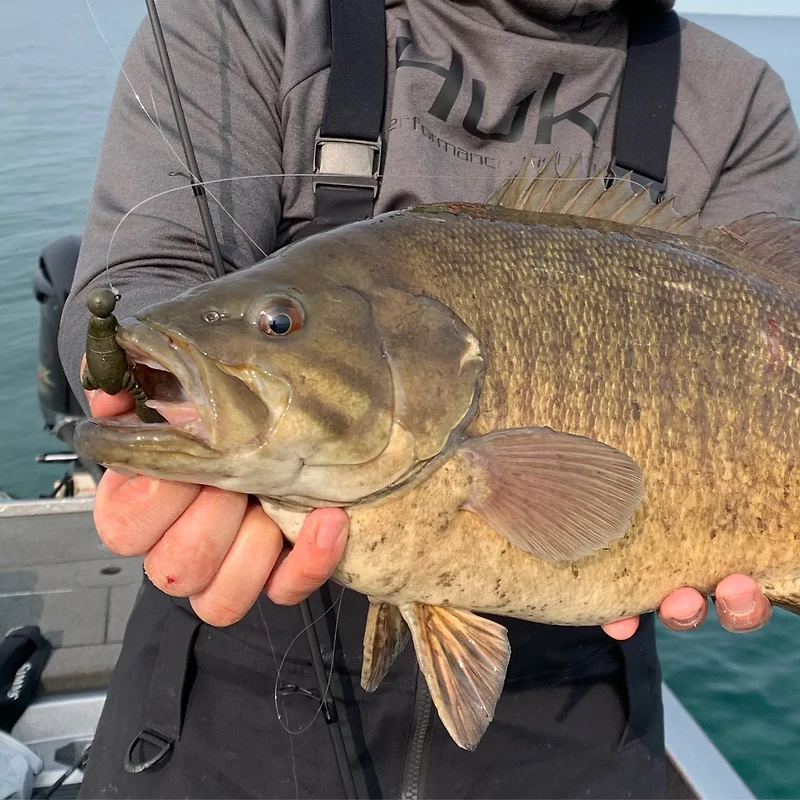 Great Lakes Finesse 2-1/10 Floating Snack Craw