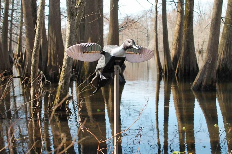 MOJO Elite Series Pintail Decoy