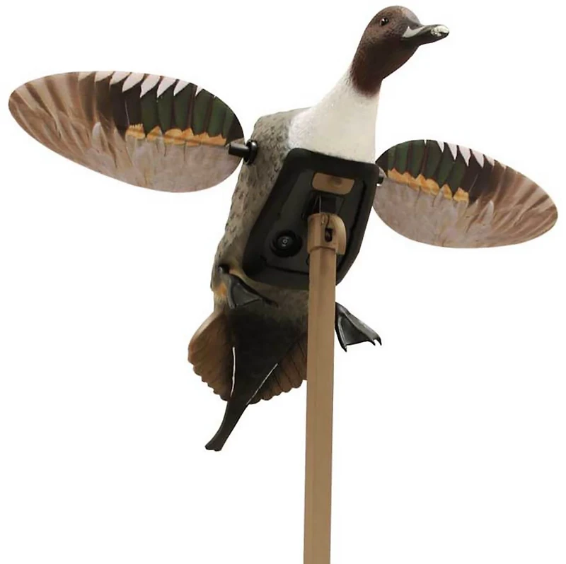 MOJO Elite Series Pintail Decoy