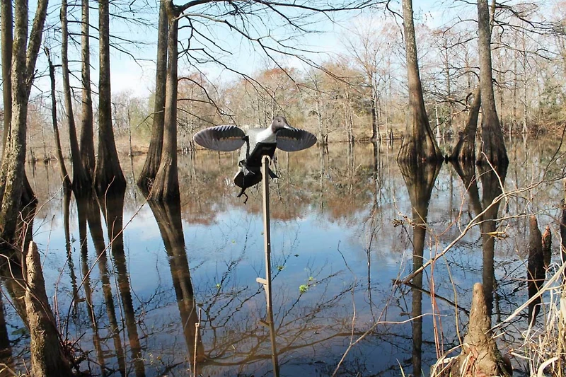 MOJO Elite Series Pintail Decoy