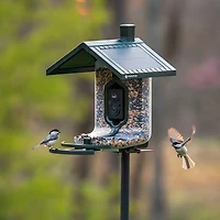 FeatherSnap Scout WiFi Smart Bird Feeder