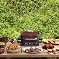 Ninja Woodfire Outdoor Grill & Smoker