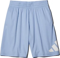 adidas Boys' Essential Big Logo Shorts