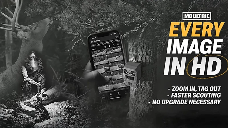 Moultrie Edge 3 40.0 MP Trail Cameras 2-Pack