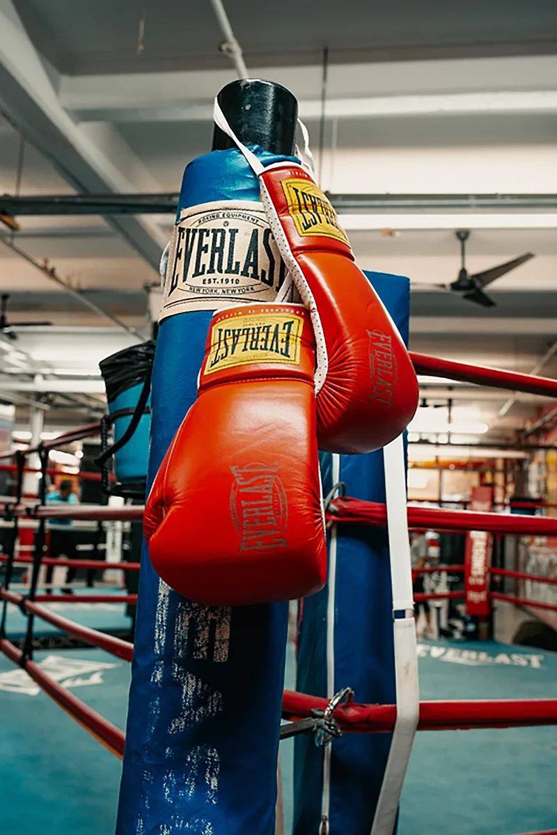 Everlast 1910 Classic 14 oz Boxing Gloves