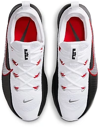 Nike Men's Lebron Trainer 1 Shoes