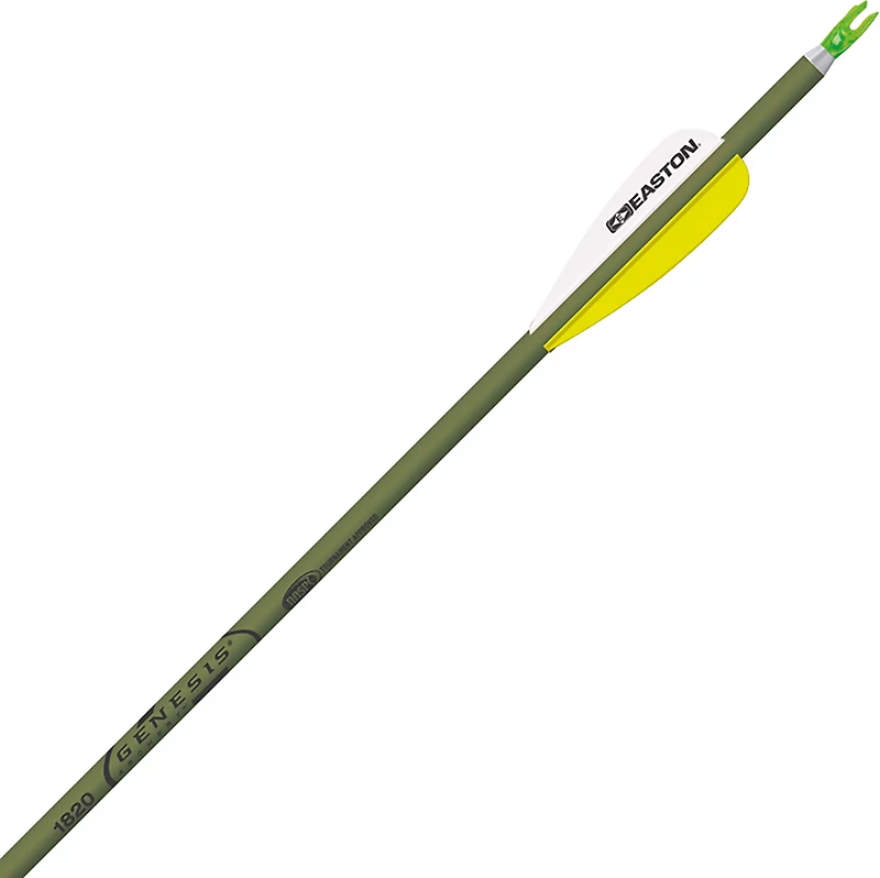 EASTON XX75 Genesis 30 in Arrow