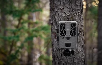 SpyPoint Force-48 Non-Cellular Trail Camera