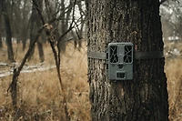 SpyPoint Force-48 Non-Cellular Trail Camera