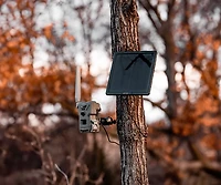 SpyPoint Flex M Cellular Trail Camera with Solar Panel