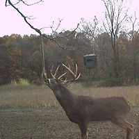 Wildlife Research Center Golden Rope™ Scent Kit 3-pack