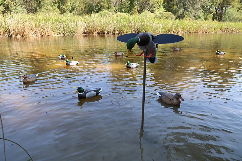 MOJO Outdoors Silver Mallard Duck Decoy