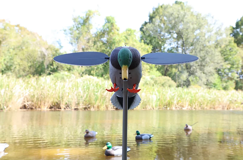 MOJO Outdoors Silver Mallard Duck Decoy