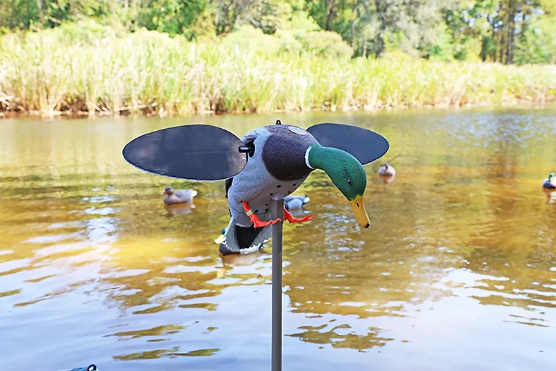 MOJO Outdoors Silver Mallard Duck Decoy