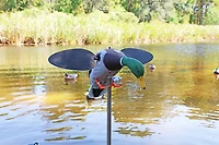 MOJO Outdoors Silver Mallard Duck Decoy
