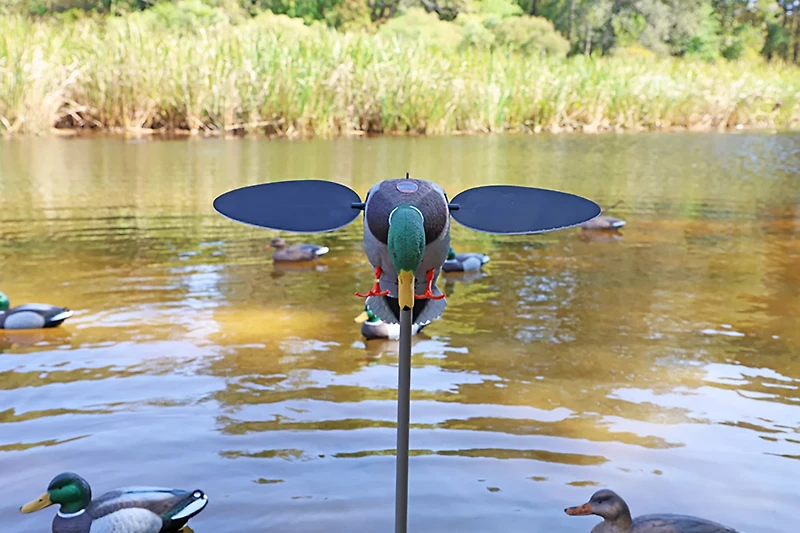 MOJO Outdoors Silver Mallard Duck Decoy