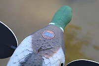 MOJO Outdoors Silver Mallard Duck Decoy