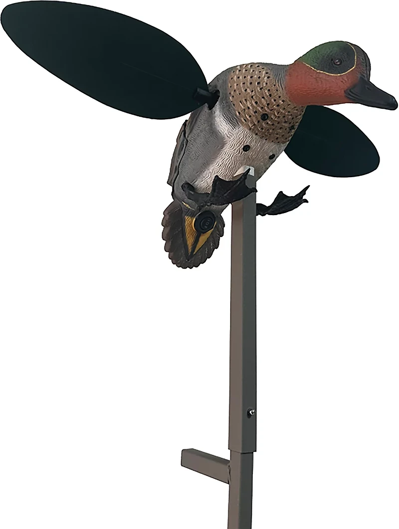 MOJO Outdoors Green Wing Duck Decoy