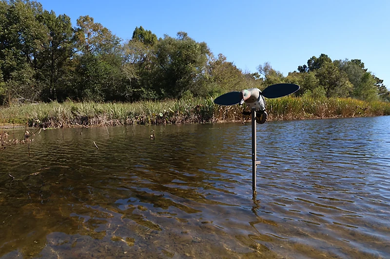 MOJO Outdoors Green Wing Duck Decoy