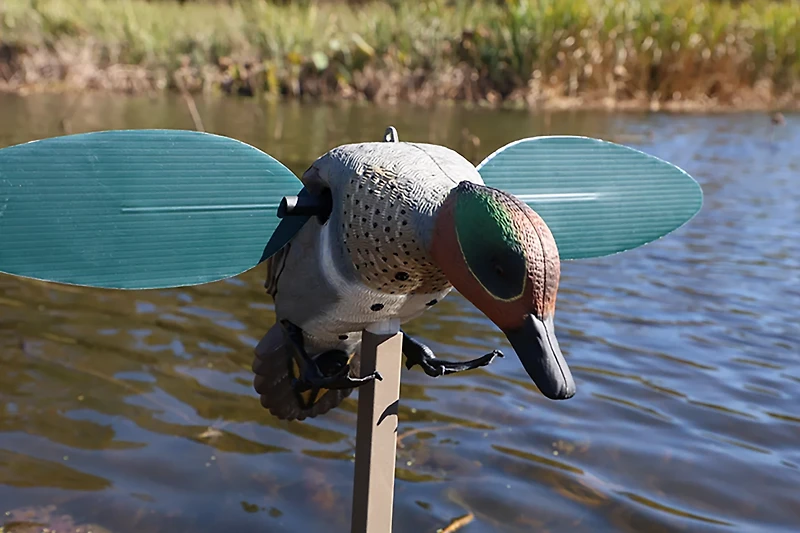 MOJO Outdoors Green Wing Duck Decoy