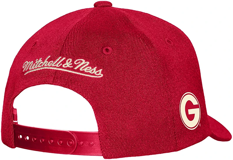 Mitchell & Ness Adults' Georgia Bulldogs Tailsweep PC Snapback Cap