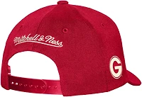 Mitchell & Ness Adults' Georgia Bulldogs Tailsweep PC Snapback Cap