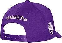 Mitchell & Ness Adults' LSU Tigers Tailsweep PC Snapback Cap