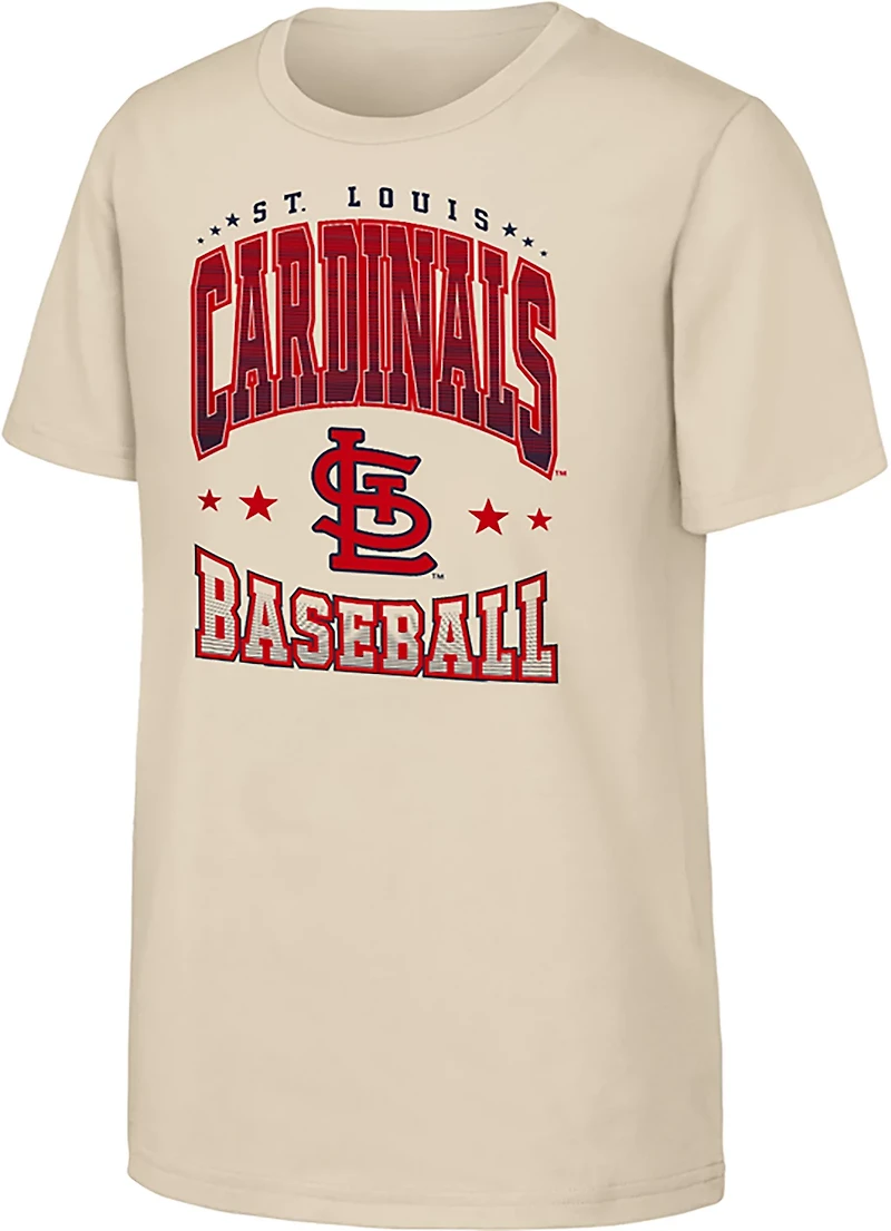 Outerstuff Youth Cardinals Batter's Box T-shirt
