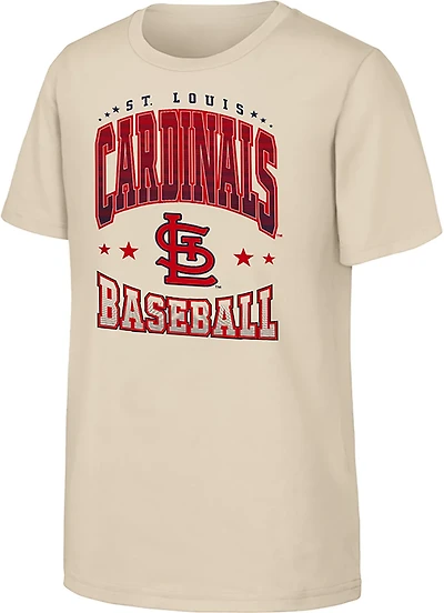 Outerstuff Youth Cardinals Batter's Box T-shirt