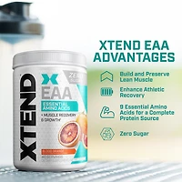 Scivation XTEND EAA Essential Amino Acids Powder