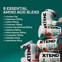 Scivation XTEND EAA Essential Amino Acids Powder