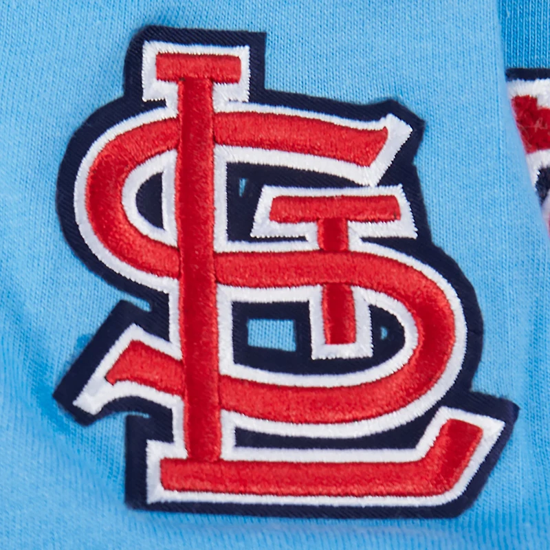 Pro Standard Boys' St. Louis Cardinals Retro Classic BB Striped Rib Short Sleeve T-shirt