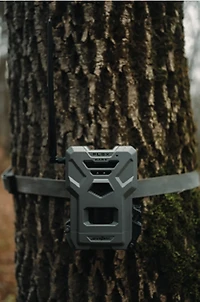 SpyPoint Flex Dark 40 MP Cellular Trail Cameras 2-Pack