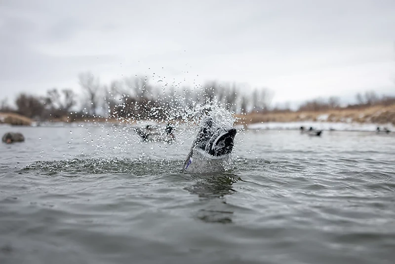 Higdon Pulsator Pro Mallard 3-D Duck Decoy