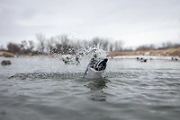 Higdon Pulsator Pro Mallard 3-D Duck Decoy