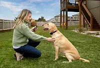 Garmin Delta SE Bundle